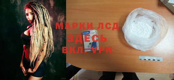 индика Горнозаводск