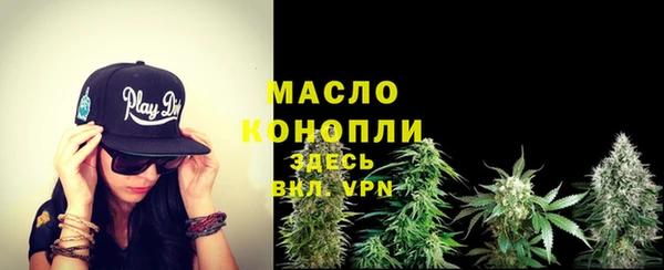 индика Горнозаводск