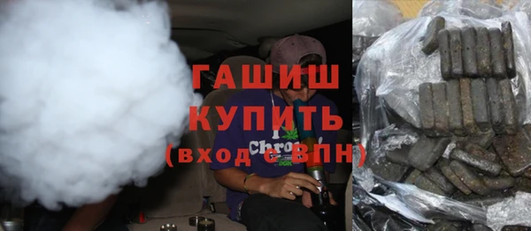 индика Горнозаводск