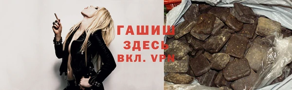 индика Горнозаводск