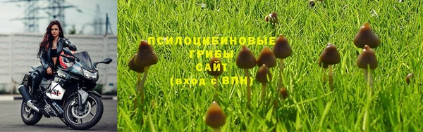 прущий лед Ижевск
