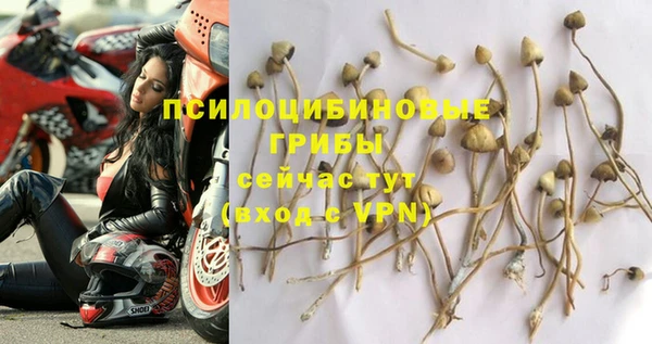 индика Горнозаводск