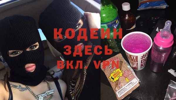 индика Горнозаводск