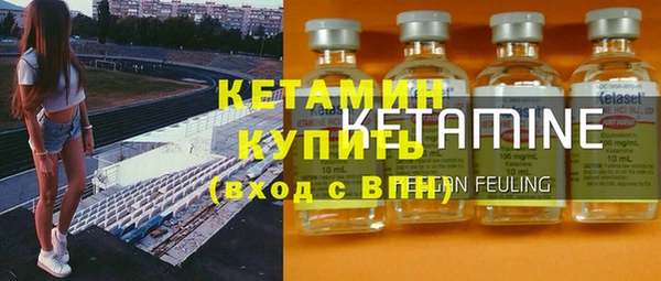 индика Горнозаводск