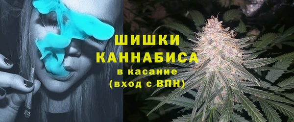 индика Горнозаводск