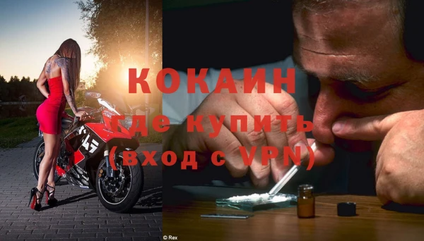 индика Горнозаводск