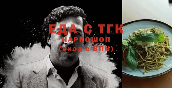 индика Горнозаводск