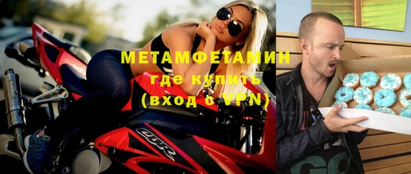 индика Горнозаводск