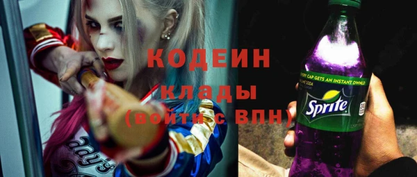 индика Горнозаводск