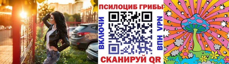 Псилоцибиновые грибы GOLDEN TEACHER  купить наркотики цена  Озёрск 